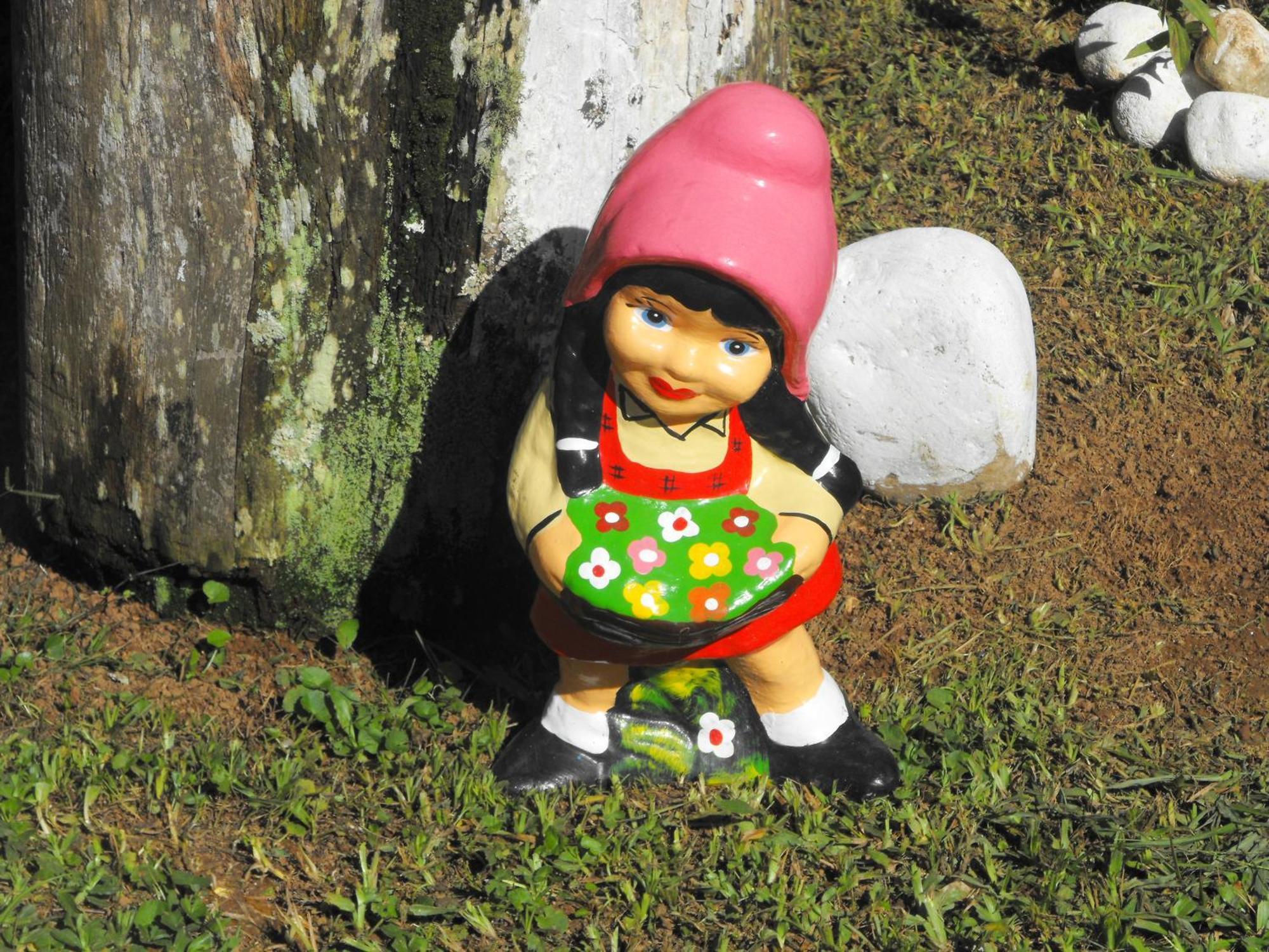 Pousada Cascata Dos Amores Teresopolis Luaran gambar