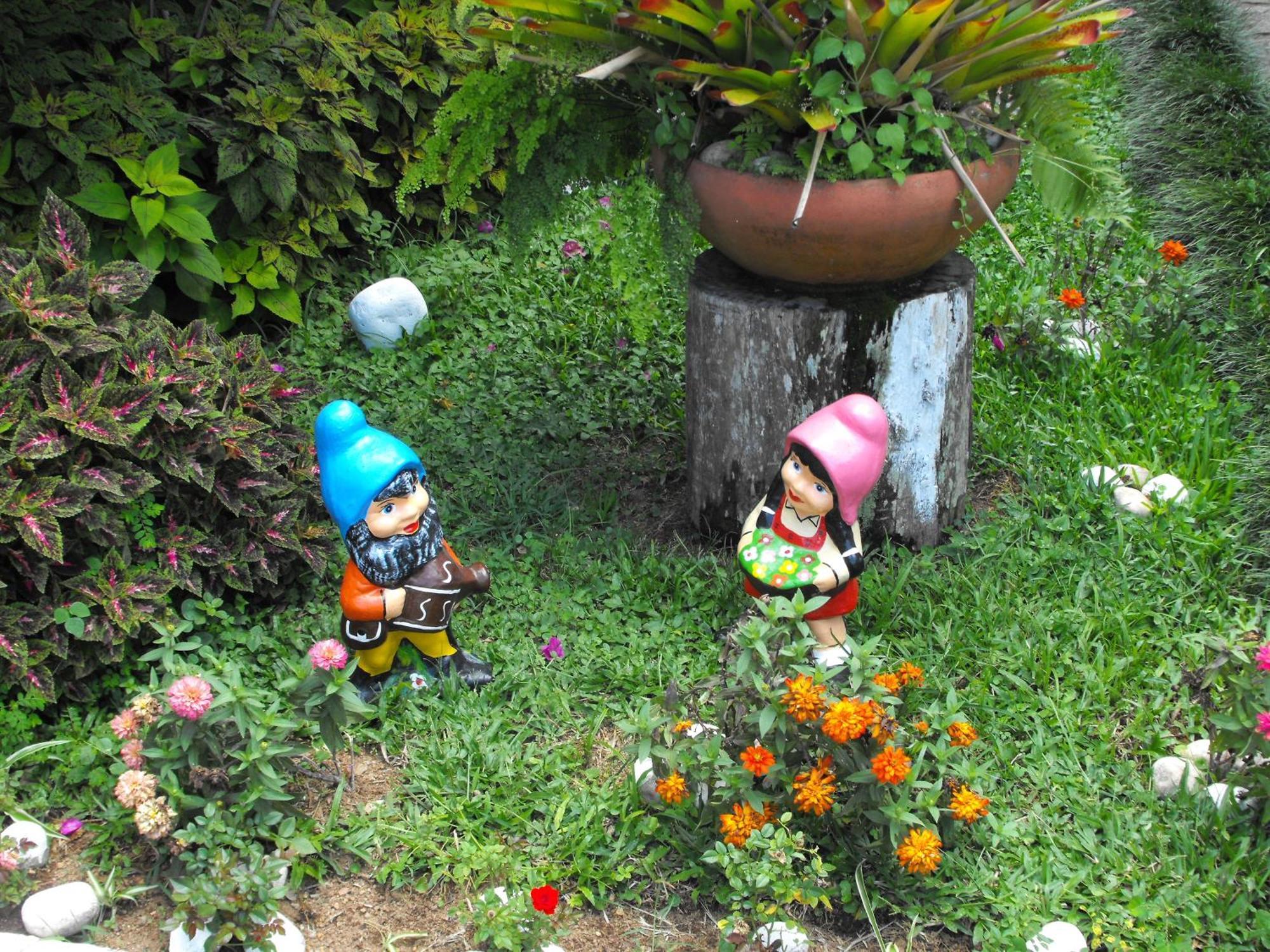 Pousada Cascata Dos Amores Teresopolis Luaran gambar